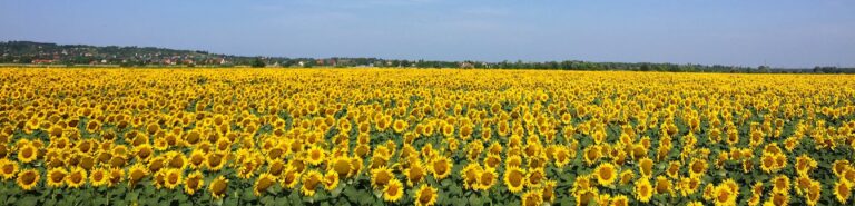 Growing in God Growth Fund